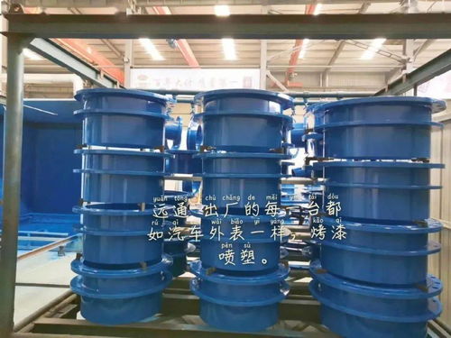 阀门配套伸缩节一站式工厂 远通管业